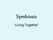 Symbiosis