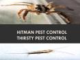 Hitman Pest Control thirsty pest control PowerPoint PPT Presentation