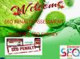 SEO Penalty Assessment Sydney PowerPoint PPT Presentation