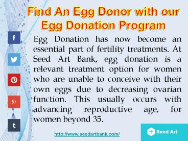 Find An Egg Donor with our Egg Donation Program