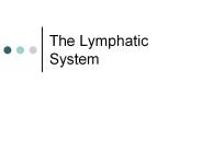 The Lymphatic System