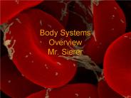 Body Systems Overview Mr. Sierer