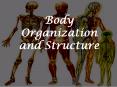 Body Organization and Structure PowerPoint PPT Presentation