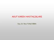 AKUT KARIN HASTALIKLARI