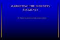 MARKETING THE INDUSTRY SEGMENTS PowerPoint PPT Presentation