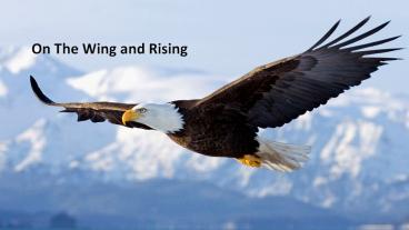 On The Wing and Rising