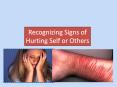 Recognizing Signs of Hurting Self or Others PowerPoint PPT Presentation