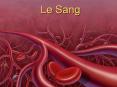 Le Sang PowerPoint PPT Presentation