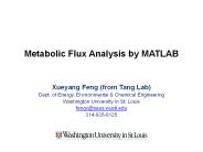 Metabolic Flux Analysis by MATLAB