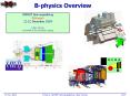 B-physics Overview PowerPoint PPT Presentation