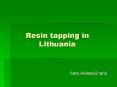 Resin tapping in Lithuania PowerPoint PPT Presentation