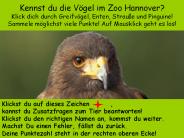 Kennst du die V