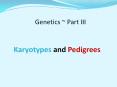 Karyotypes and Pedigrees PowerPoint PPT Presentation