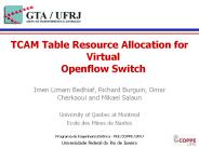 TCAM Table Resource Allocation for Virtual Openflow Switch