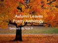 Autumn Leaves   Poetry Anthology PowerPoint PPT Presentation