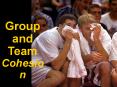 Group and Team Cohesion PowerPoint PPT Presentation