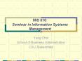 MIS 610: Seminar in Information Systems Management PowerPoint PPT Presentation