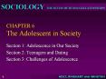 CHAPTER 6 The Adolescent in Society PowerPoint PPT Presentation