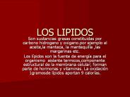 LOS LIPIDOS