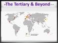The%20Tertiary%20 PowerPoint PPT Presentation