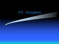 VII. Perception PowerPoint PPT Presentation