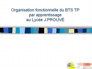 Organisation fonctionnelle du BTS TP par apprentissage au Lyc