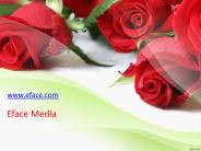 Long Island web design