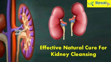 Effective Natural Cure For Kidney Cleansing