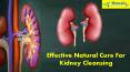 Effective Natural Cure For Kidney Cleansing PowerPoint PPT Presentation