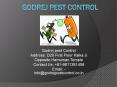 Godrej pest Control (2)