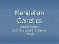 Mendelian Genetics PowerPoint PPT Presentation