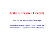 Testis%20Koruyucu%20Cerrahi