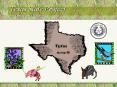 Texas State Project By:Cheyenne Glennon PowerPoint PPT Presentation