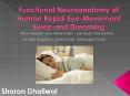 Functional Neuroanatomy of Human Rapid-Eye-Movement Sleep and Dreaming PowerPoint PPT Presentation