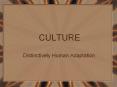 CULTURE PowerPoint PPT Presentation