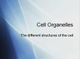 Cell Organelles PowerPoint PPT Presentation