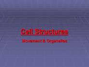 Cell Structures