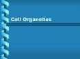 Cell Organelles PowerPoint PPT Presentation