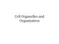 Cell Organelles and Organization PowerPoint PPT Presentation