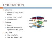 CYTOSKELETON
