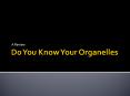 Do You Know Your Organelles PowerPoint PPT Presentation