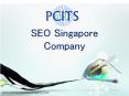 SEO Company Singapore, SEO Consultant Singapore PowerPoint PPT Presentation