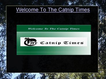 Cat Behavior Information and six Sence of the Cat