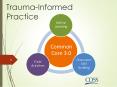 Trauma-Informed Practice PowerPoint PPT Presentation