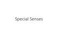 Special Senses PowerPoint PPT Presentation