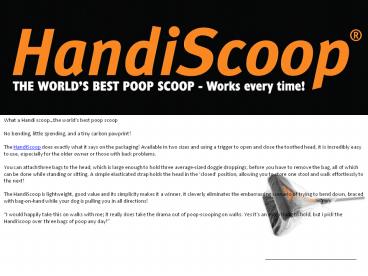 HandiScoop