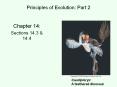 Principles%20of%20Evolution:%20Part%202 PowerPoint PPT Presentation