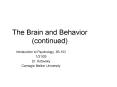 The Brain and Behavior (continued) PowerPoint PPT Presentation