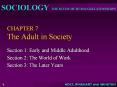 CHAPTER 7 The Adult in Society PowerPoint PPT Presentation
