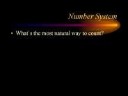 Number System